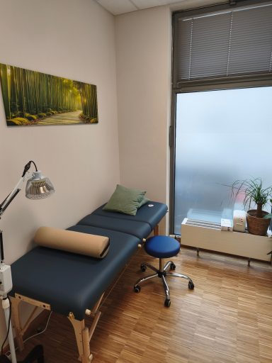 Behandlungsraum mit Behandlungsliege, Pflanzen und Fenster mit sanftem Licht.